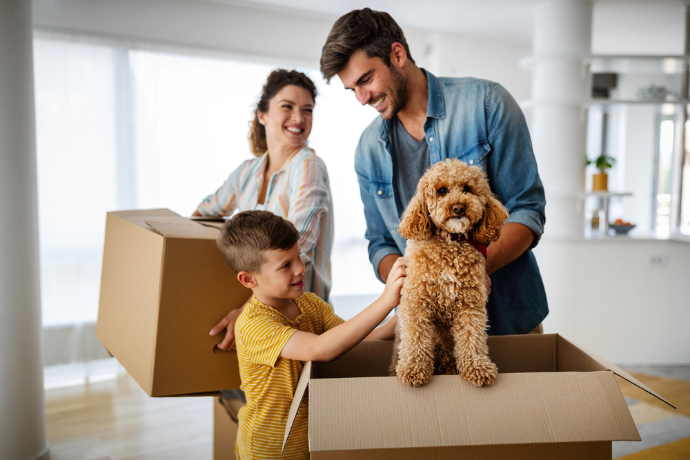 Young couple moving into an apartment with a dog - best renters insurance.