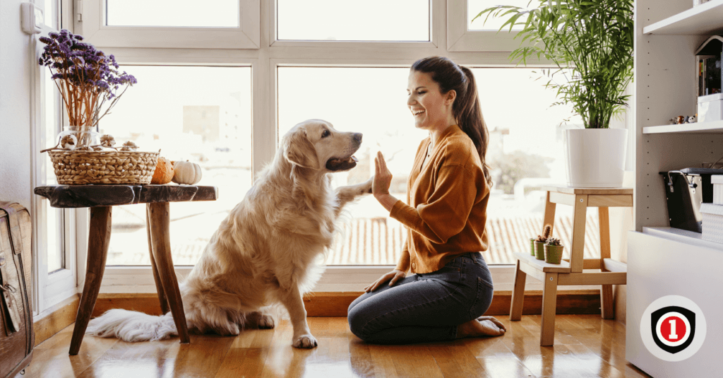 A woman interacting with her dog while enjoying home insurance